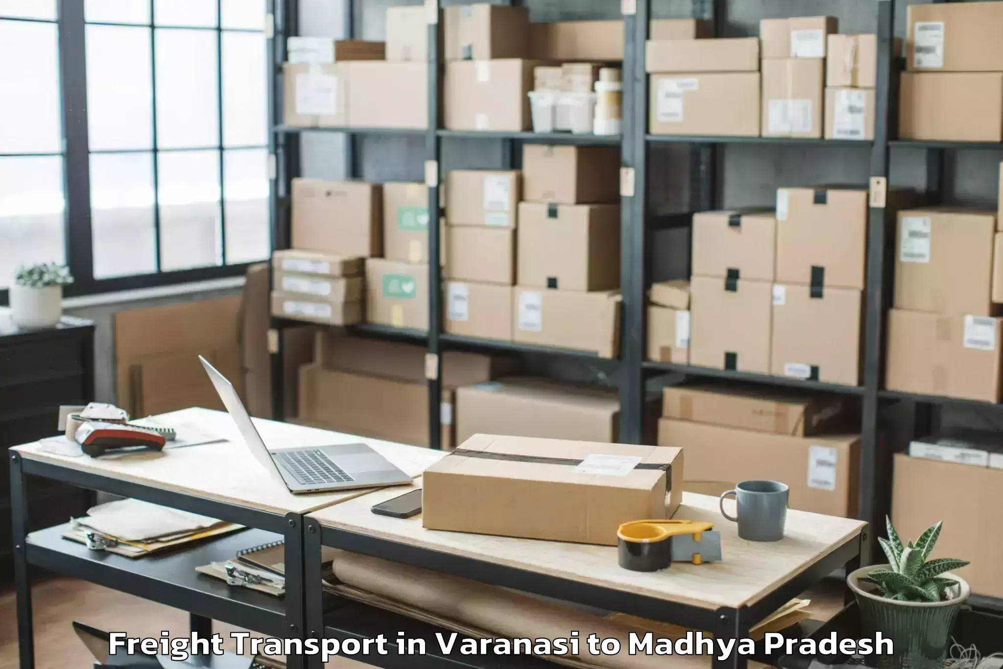 Professional Varanasi to Guna Freight Transport